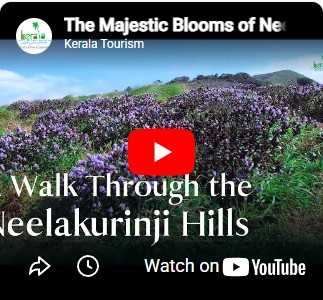 Idukki